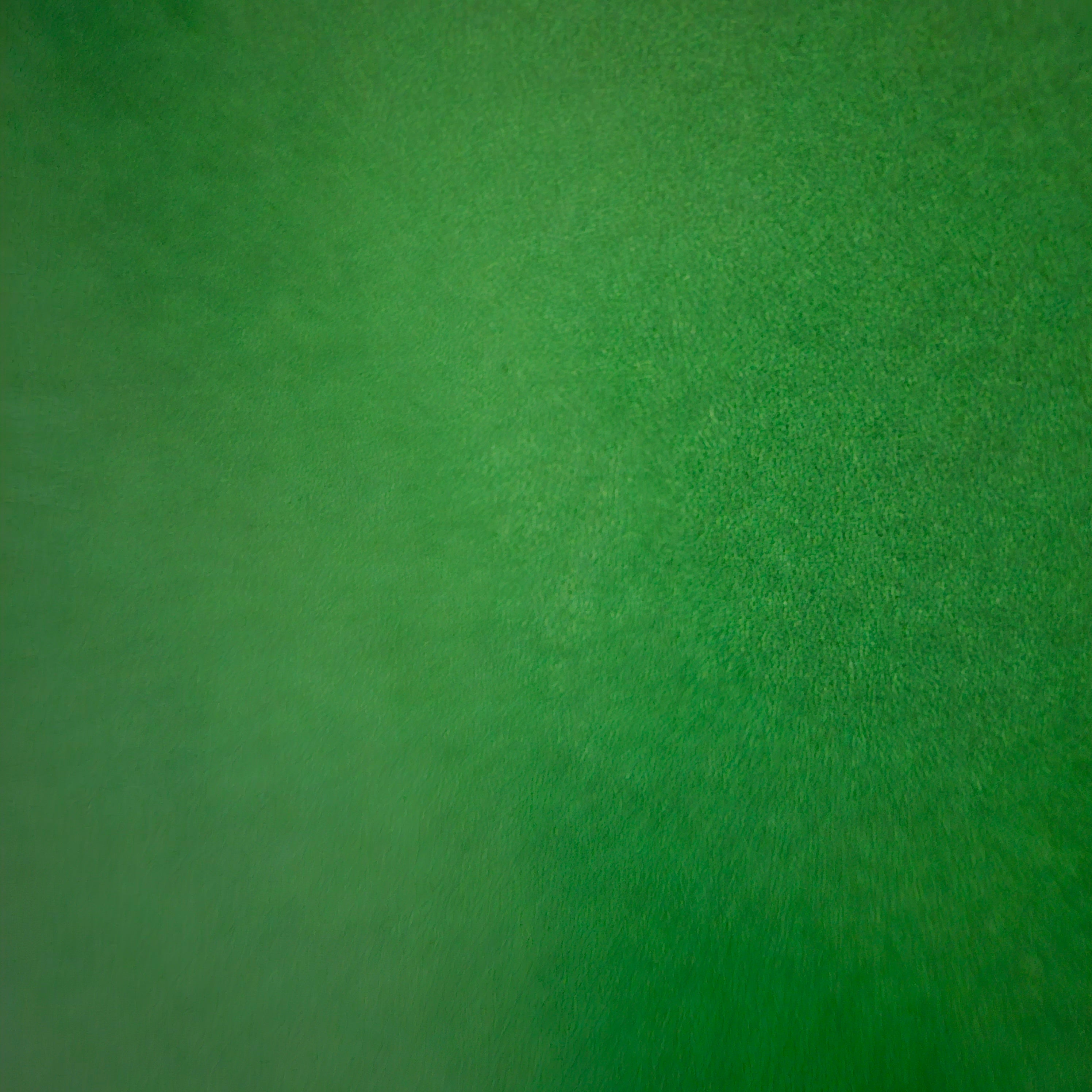 Wrapping Paper Plain Hunters Green (10 or 50 Meter Roll) B Moore