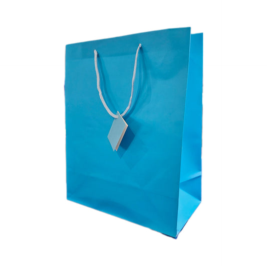 Aqua Gift Bag with Gift Tag