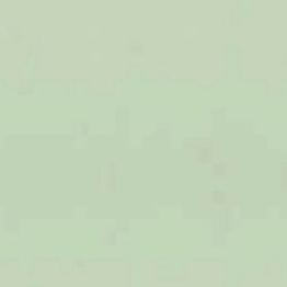 Plain Sage Green wrapping paper