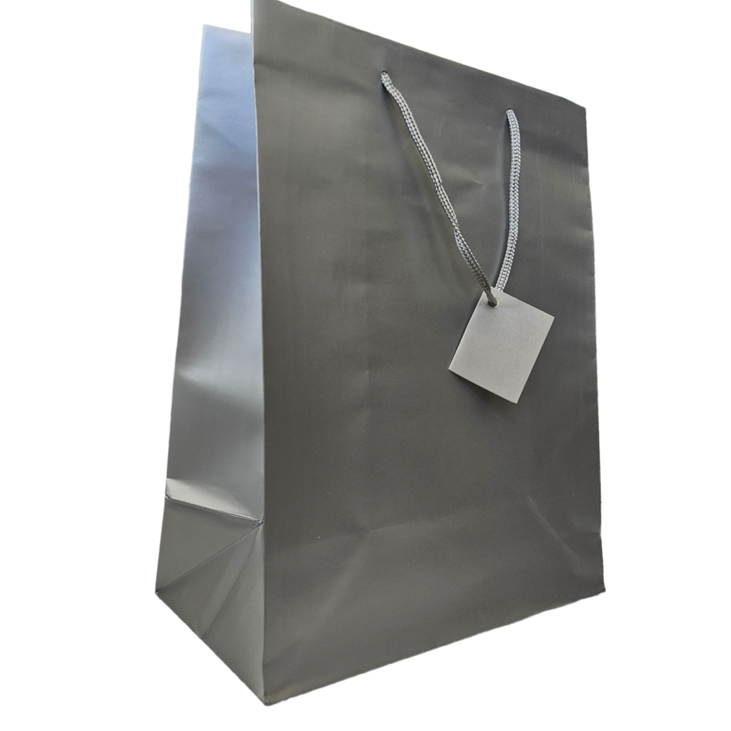 Silver Gift Bag