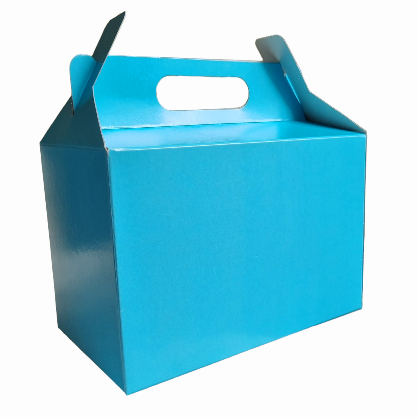 Party Boxes Plain (Colour 12 or 50 per pack)