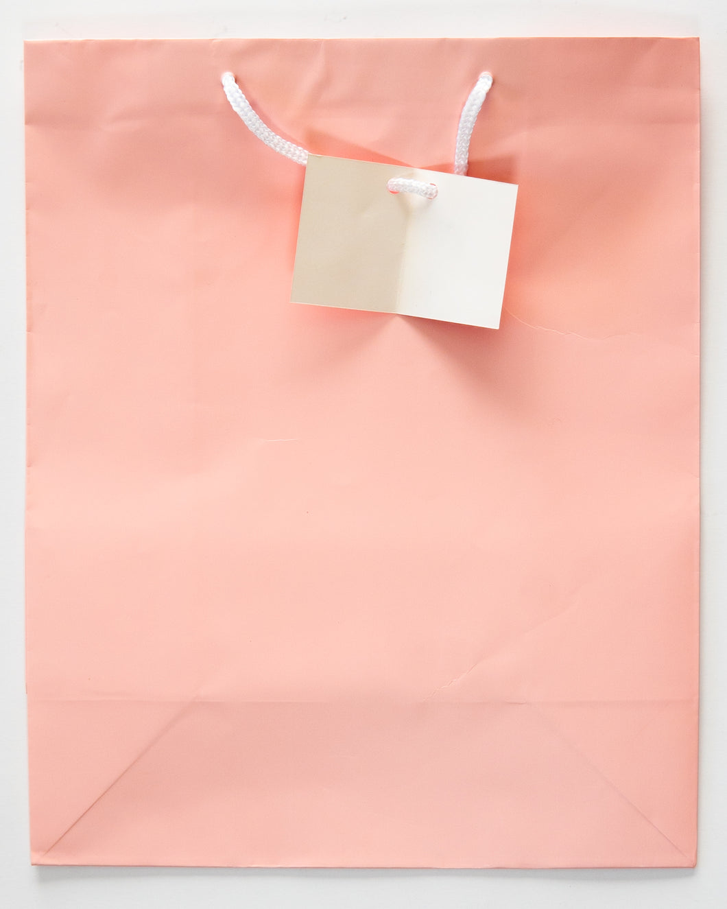 Gift Bag Light Pink with Cord Handle and Tag