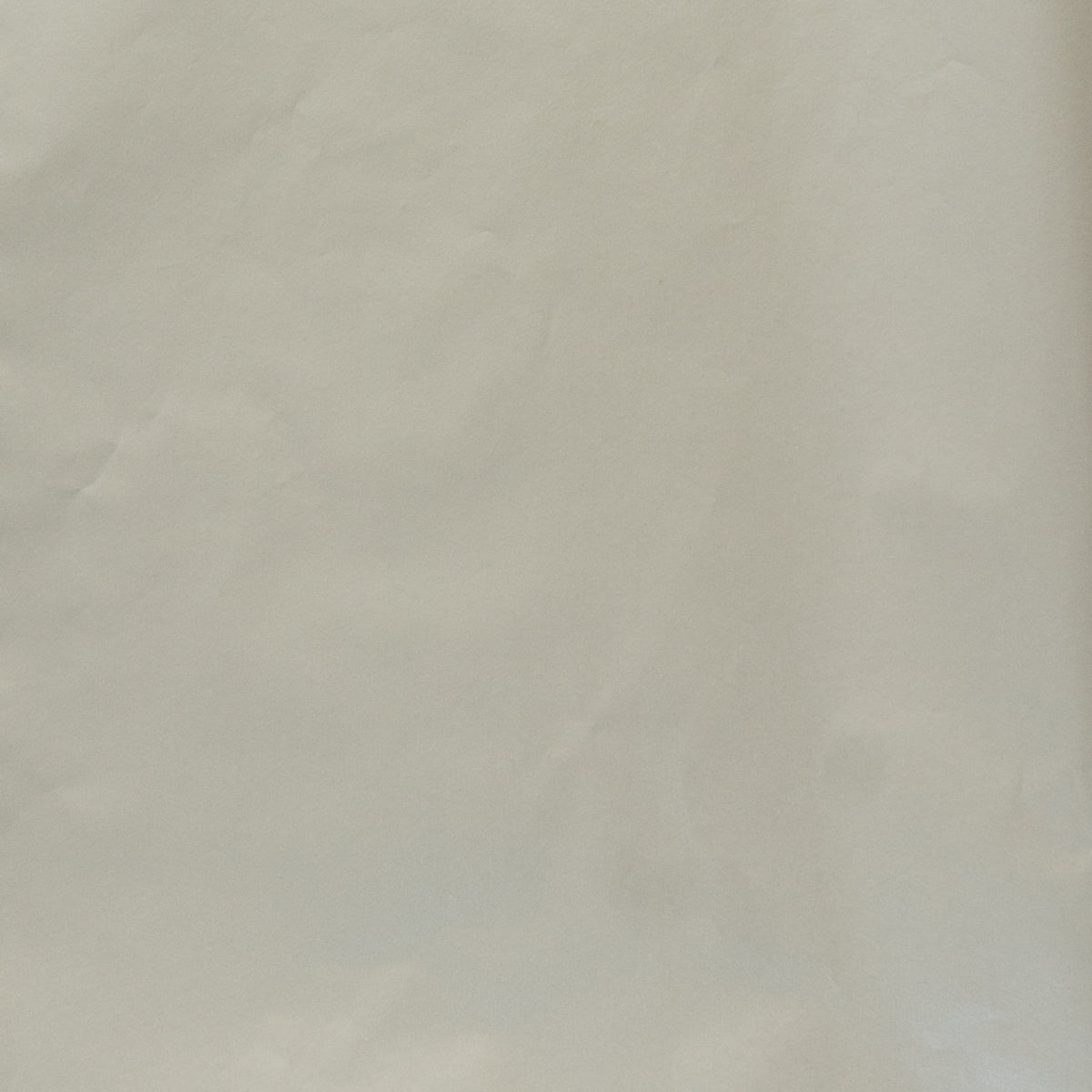 Tissue Paper Sheeted 500mm x 700mm Silver