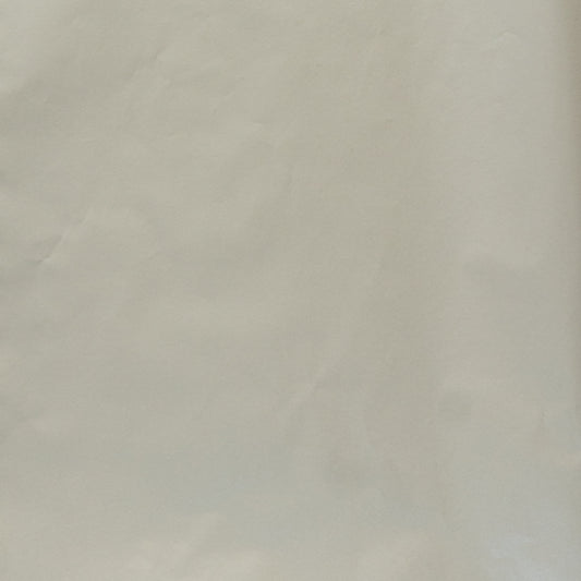 Tissue Paper Sheeted 500mm x 700mm Silver