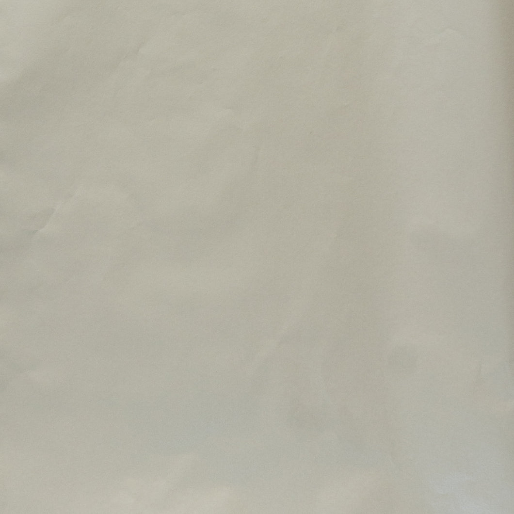 Tissue Paper Sheeted 500mm x 700mm Silver