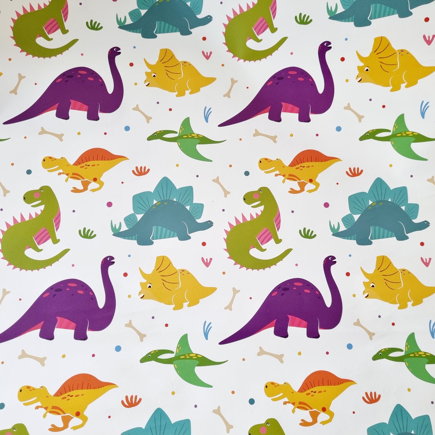 Dinosaur Wrapping Paper Sheeted, mixed Colour Dinosaurs