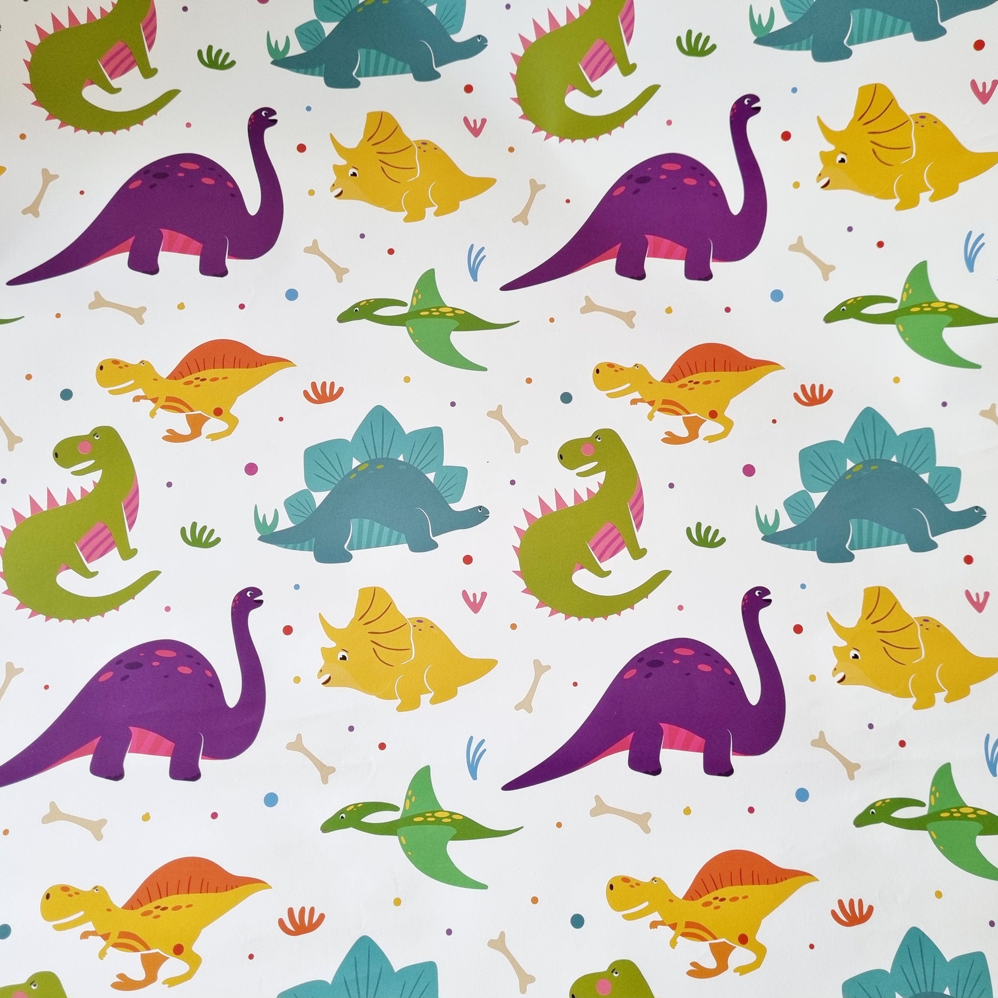 Dinosaur Wrapping Paper Sheeted, mixed Colour Dinosaurs