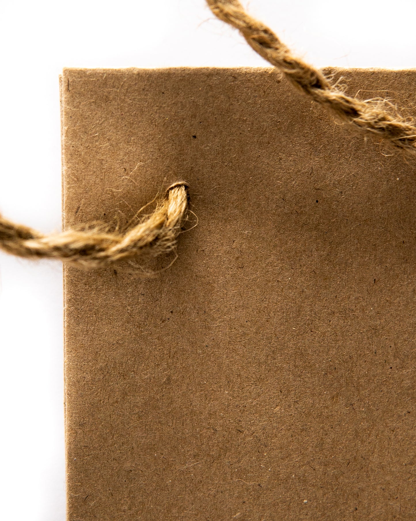 Kraft Bottle Gift Bag Close up of Jute Handle