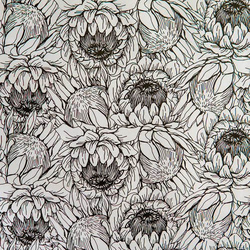Protea Black and White Wrapping Paper