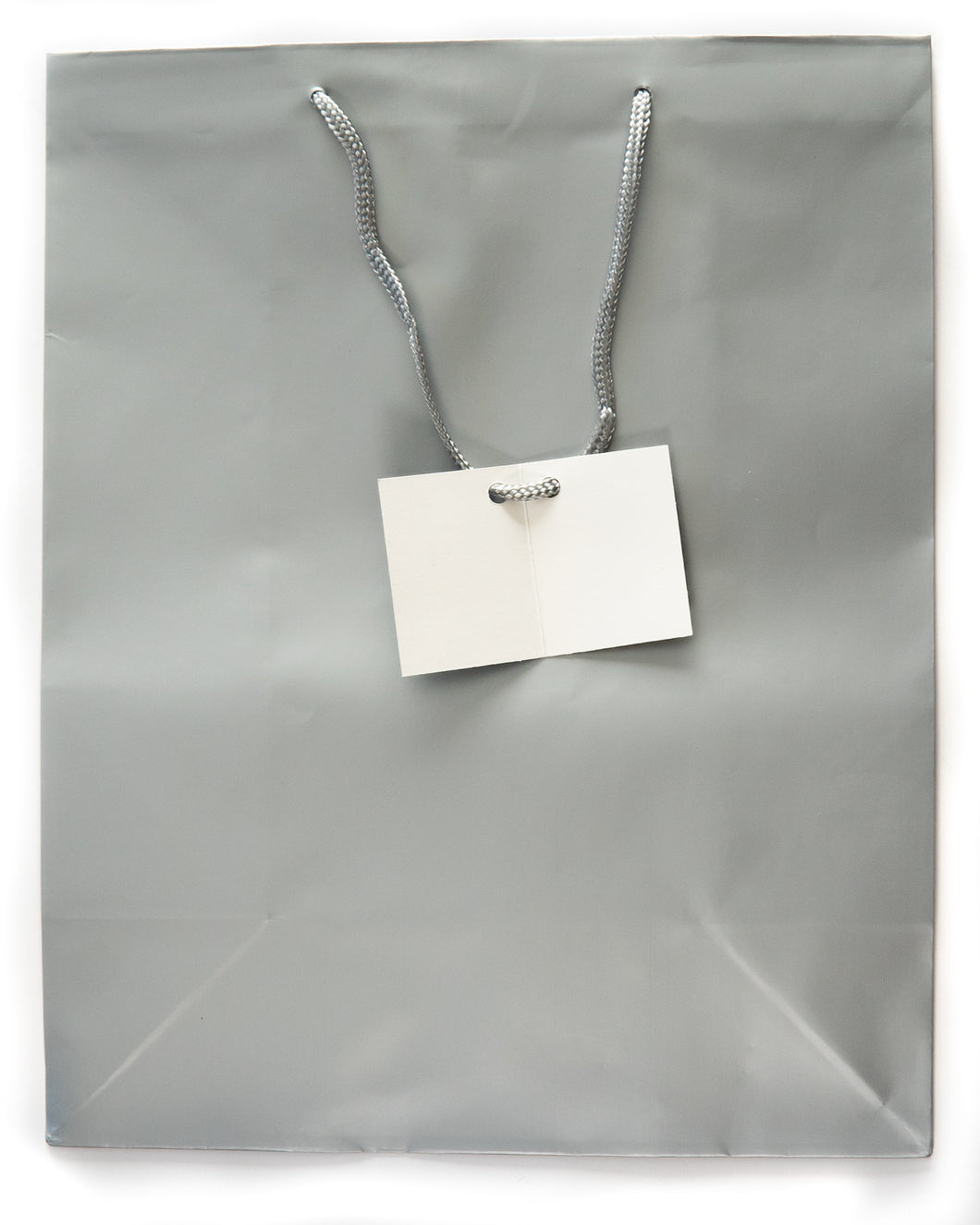 Gift Bag Silver with Cord Handle and Tag