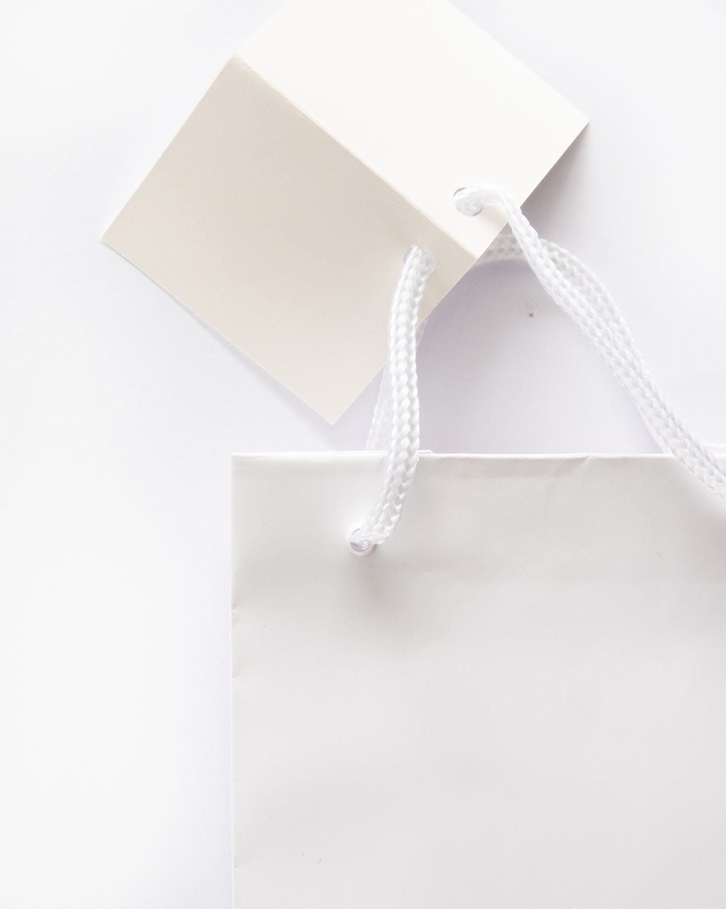 Bottle Gift Bag Close up of Handle and Tag