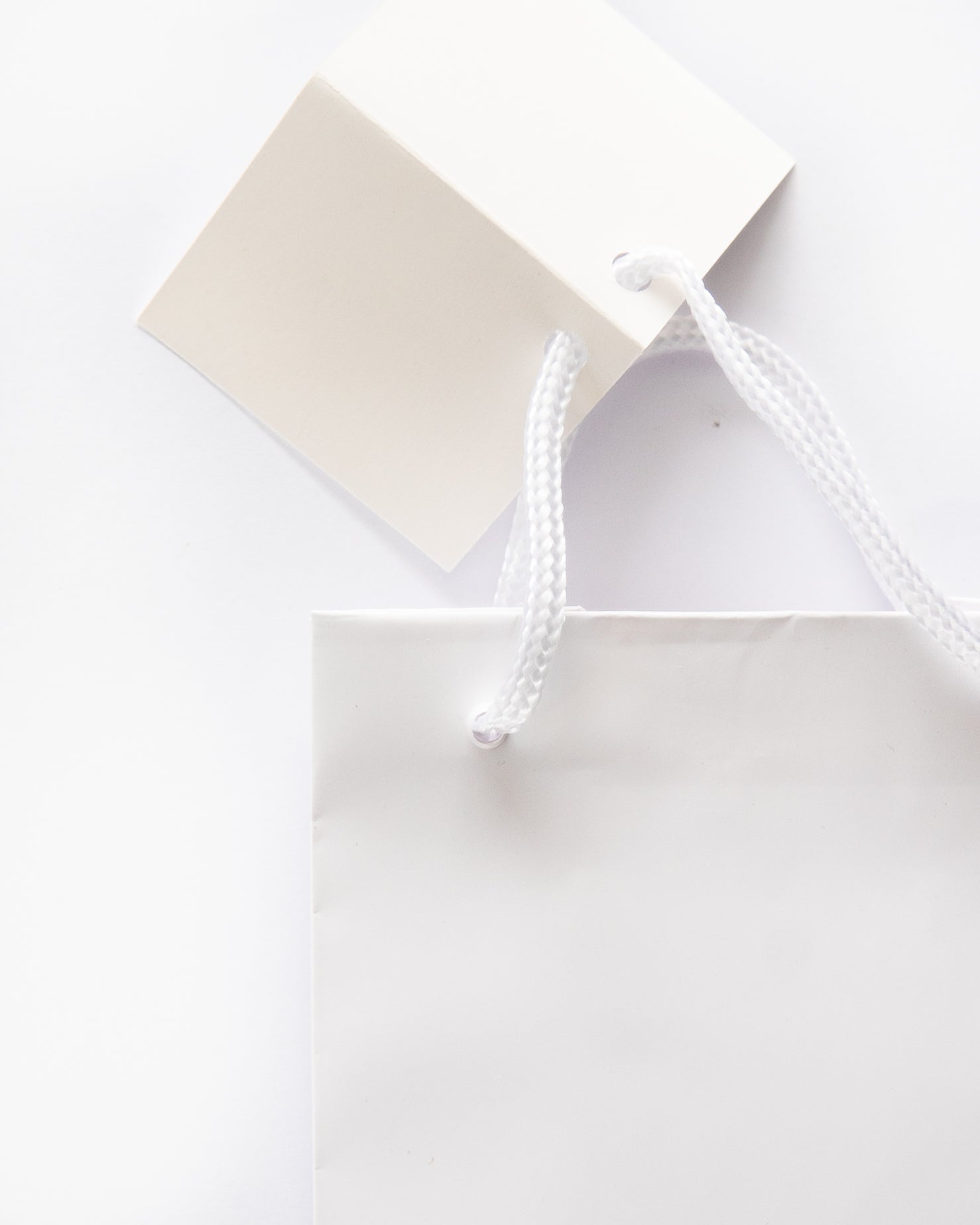 Bottle Gift Bag Close up of Handle and Tag